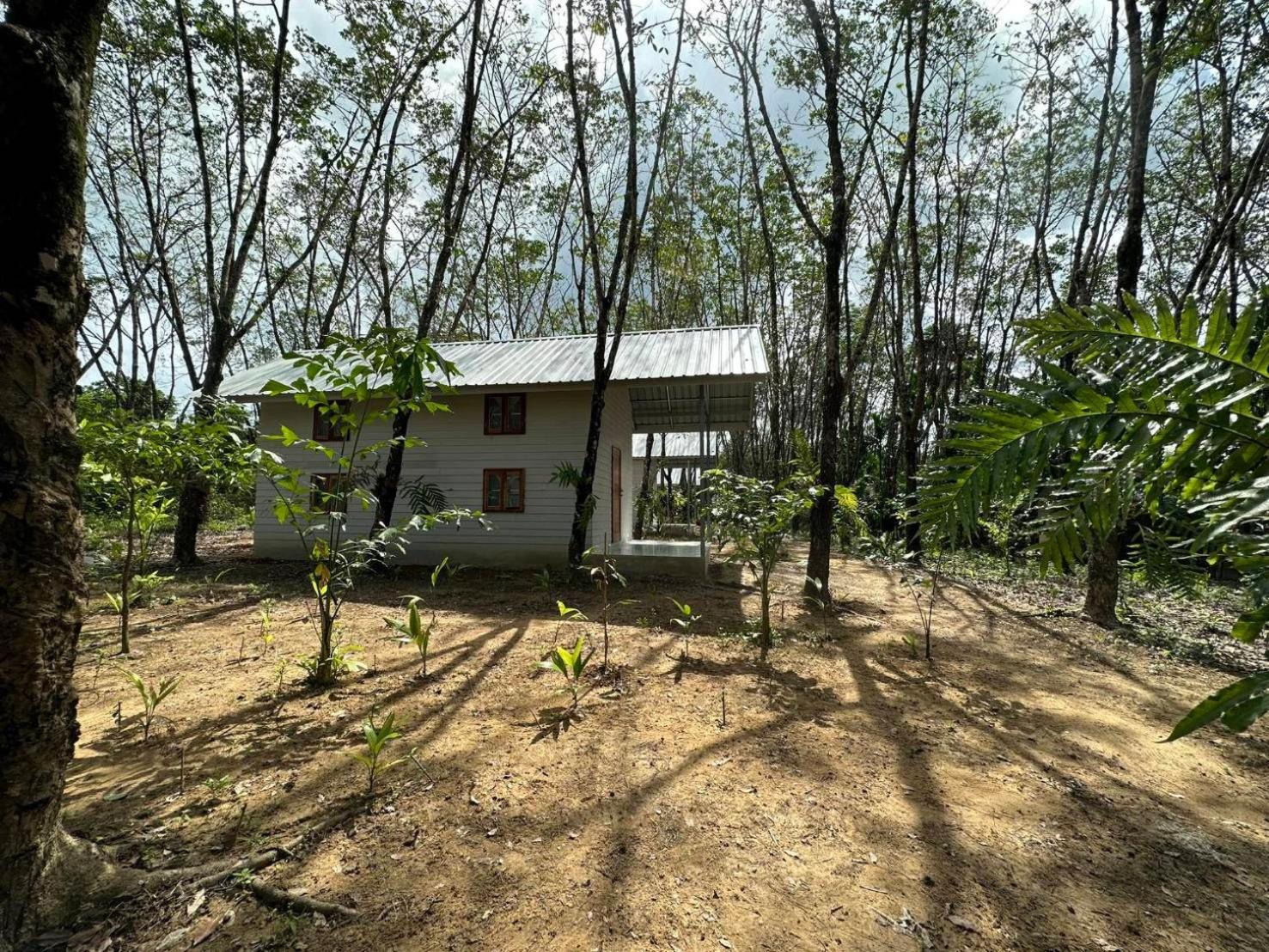 Rabbit Bungalow Ко-Паям Экстерьер фото